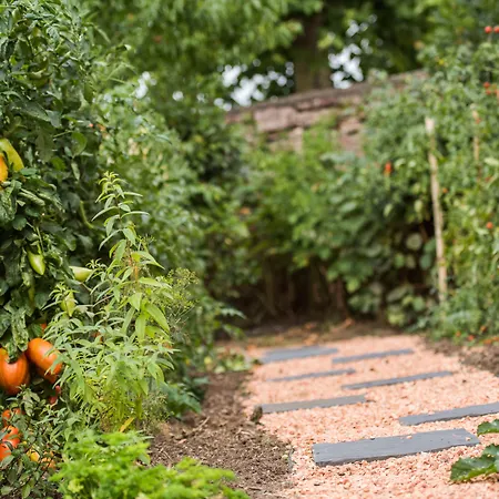 La Rose Hotel Juliénas